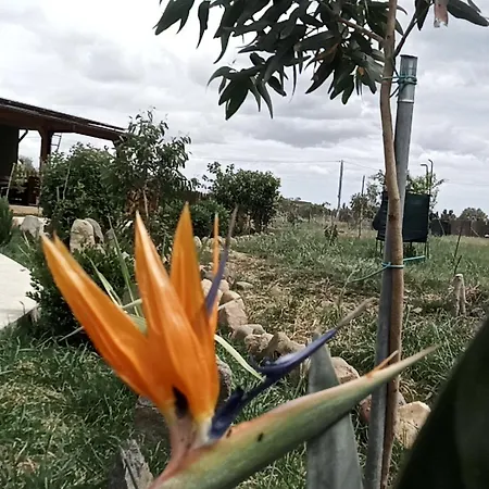 Podere Kiri Dome Experience