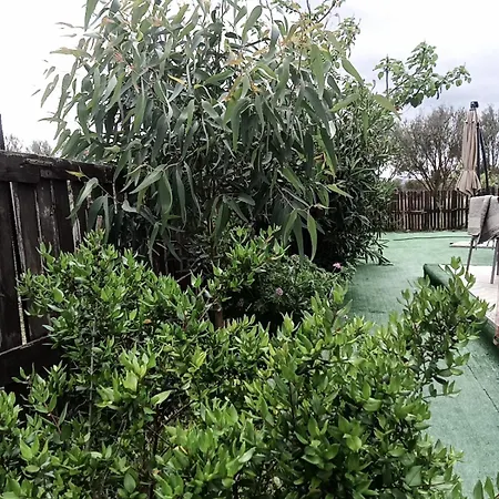 럭셔리텐트 Podere Kiri Dome Experience