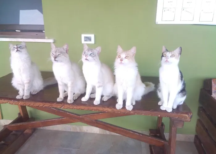 Podere Kiri Dome Experience