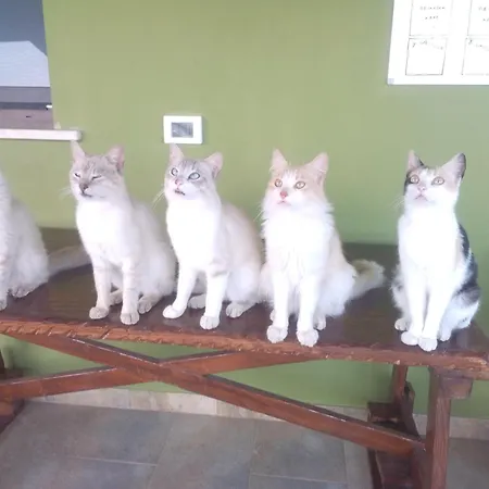 Podere Kiri Dome Experience