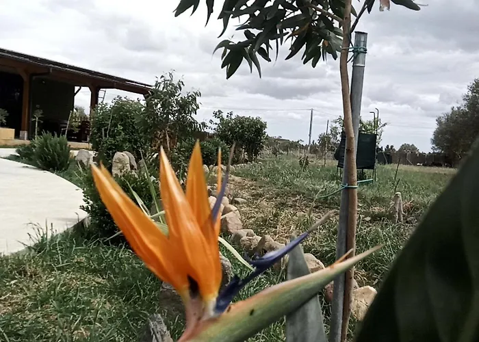 Podere Kiri Dome Experience