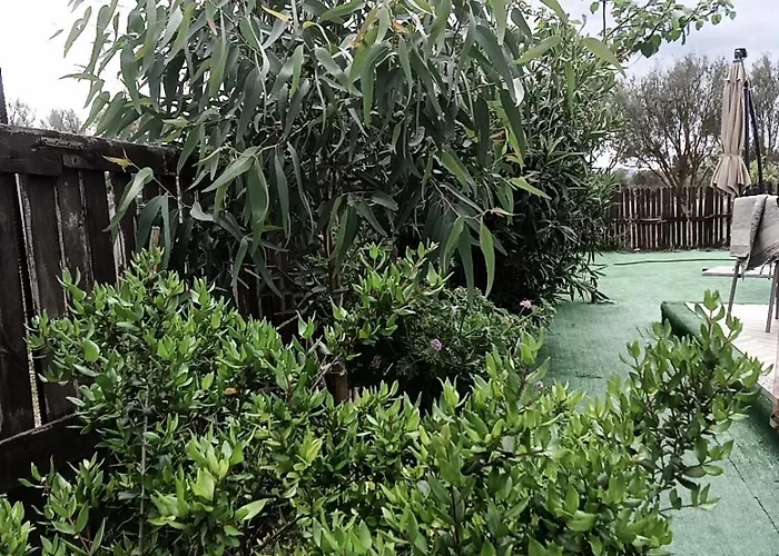 Glamping Podere Kiri Dome Experience